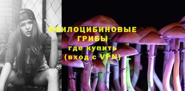 тгк Козельск