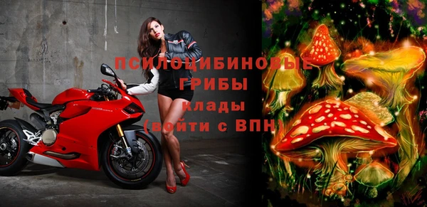 Альфа ПВП Кодинск