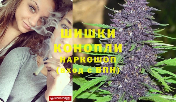 Альфа ПВП Кодинск