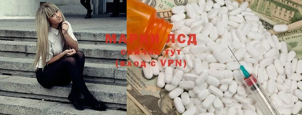 мяу мяу мука Чегем