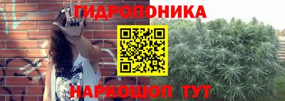 дживик Партизанск