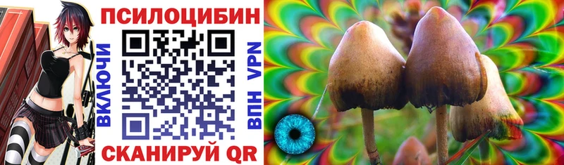 Псилоцибиновые грибы мицелий  Томск 