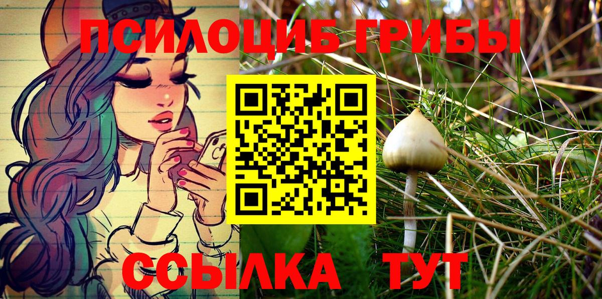 где продают   Псилоцибиновые грибы Psilocybe  Томск  Вход с VPN  Псилоцибиновые грибы мухоморы 