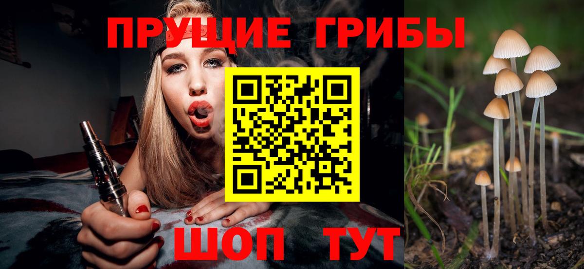 Галлюциногенные грибы Magic Shrooms Томск