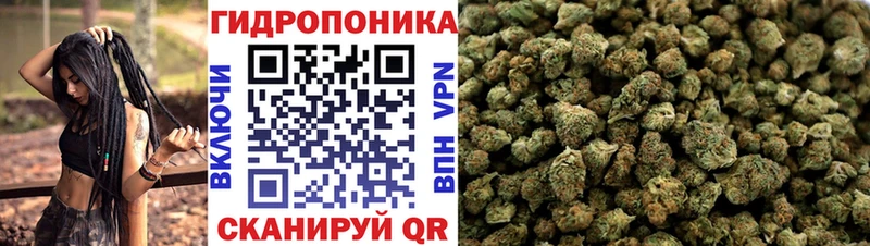 Конопля семена  Томск 